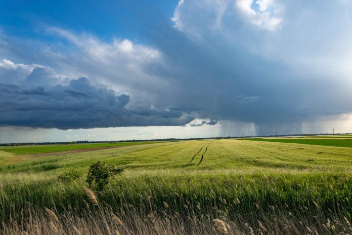 idee di business in agricoltura con fondi europei